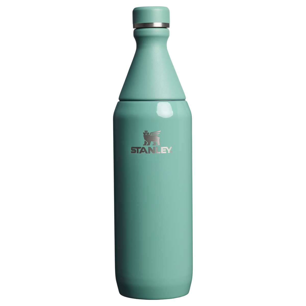 All Day Slim Bottle | 20 OZ - Stanley Create